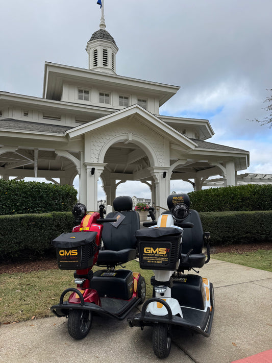 The Complete Guide to Renting a Mobility Scooter at Disneyland Resort