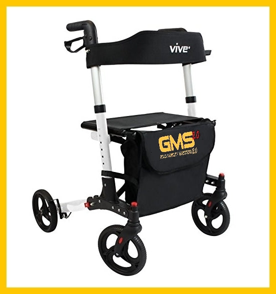 Premium Walker Rental - THEME PARK APPROVED (Anaheim) – Gold Mobility ...