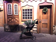 Magic Kingdom stroller