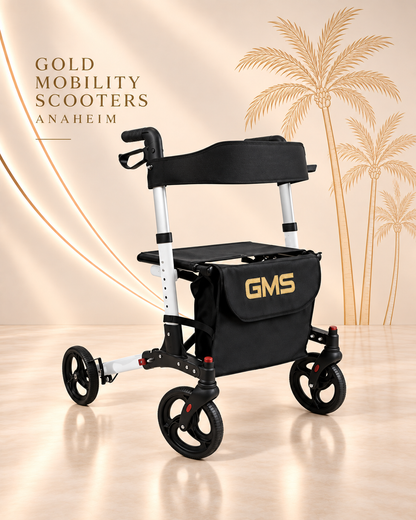 Premium Walker Rental - THEME PARK APPROVED